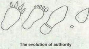 Evolution of Authority footprints 
